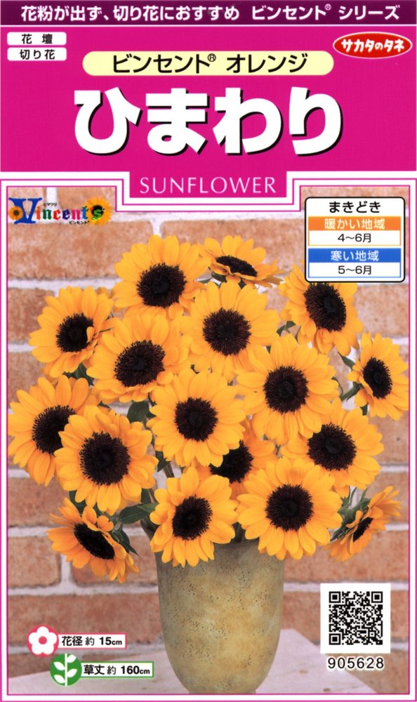 Amazon | サカタのタネ 実咲花5628 ひまわり ビンセント オレンジ